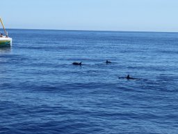 Visite de Célyne et Faf